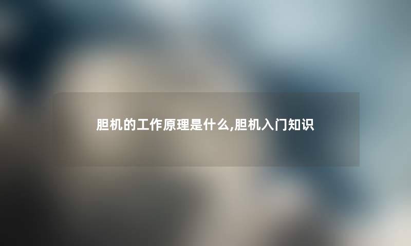胆机的工作原理是什么,胆机入门知识