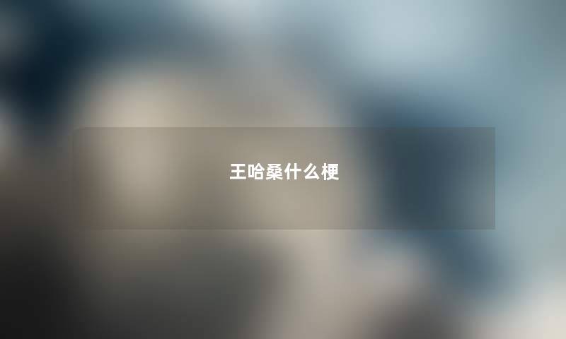 王哈桑什么梗
