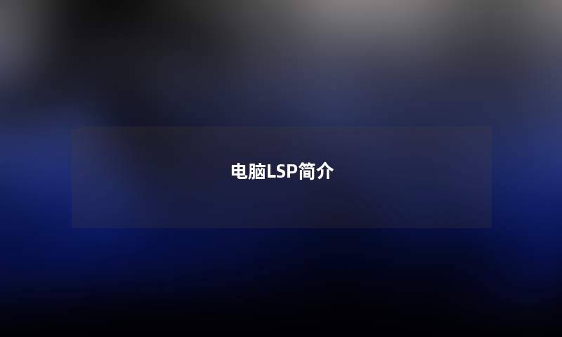 电脑LSP简介 电脑LSP简介