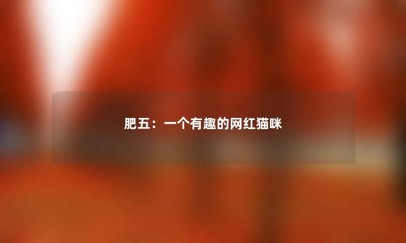 肥五:一个有趣的网红猫咪