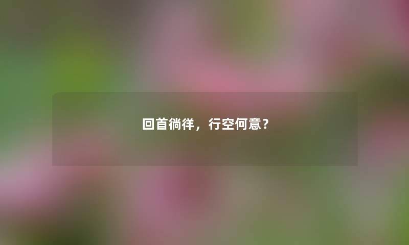 回首徜徉，行空何意？
