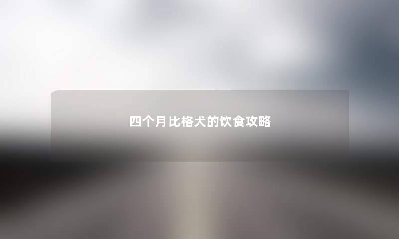 四个月比格犬的饮食攻略