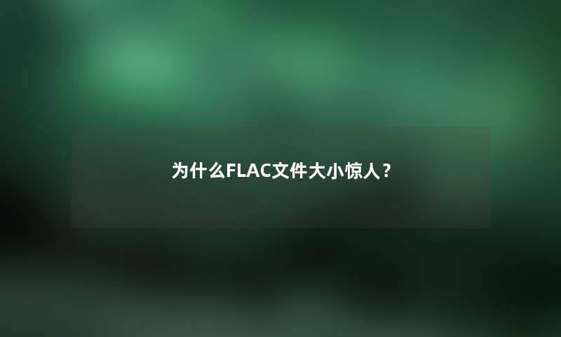 为什么FLAC文件大小？