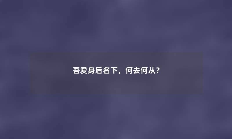 吾爱身后名下，何去何从？