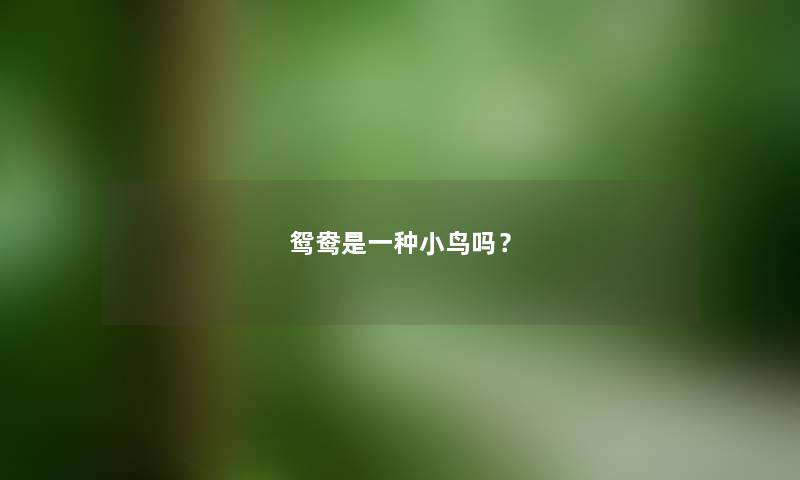鸳鸯是一种小鸟吗?