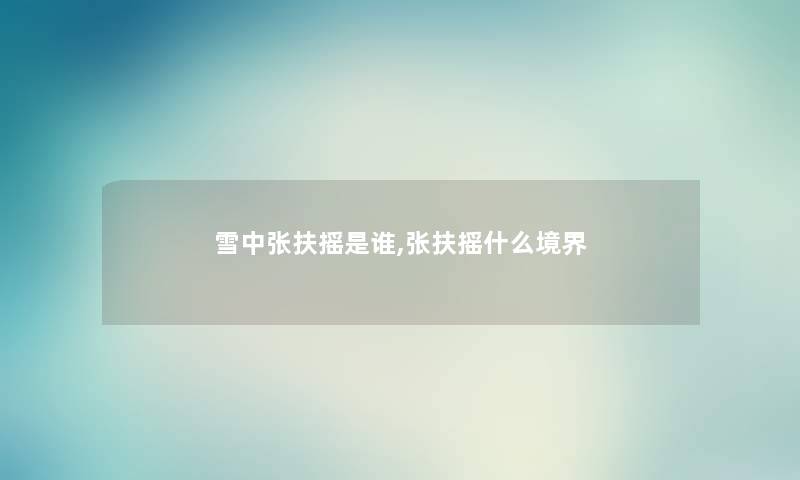 雪中张扶摇随笔,张扶摇什么境界