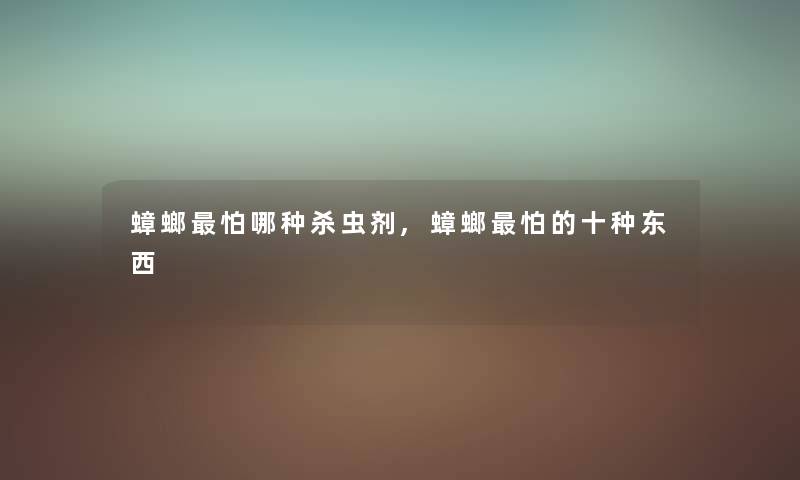 蟑螂怕哪种杀虫剂,蟑螂怕的十种东西