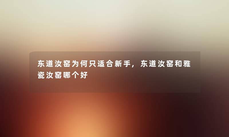 东道汝窑为何只适合新手,东道汝窑和雅瓷汝窑哪个好 东道汝窑为何只适合新手,东道汝窑和雅瓷汝窑哪个好