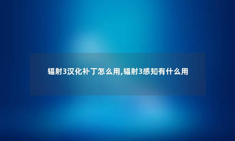辐射3汉化补丁怎么用,辐射3感知有什么用