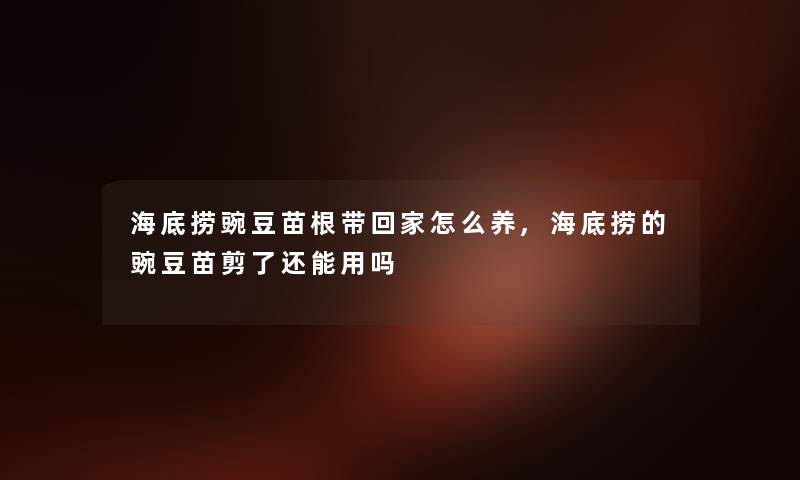 海底捞豌豆苗根带回家怎么养,海底捞的豌豆苗剪了还能用吗