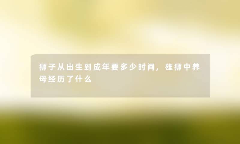 狮子从出生到成年要多少时间,雄狮中养母经历了什么