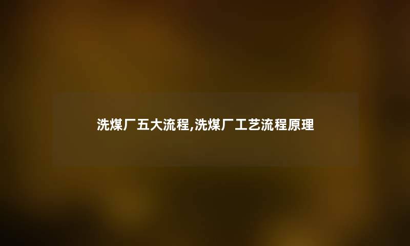洗煤厂五大流程,洗煤厂工艺流程原理