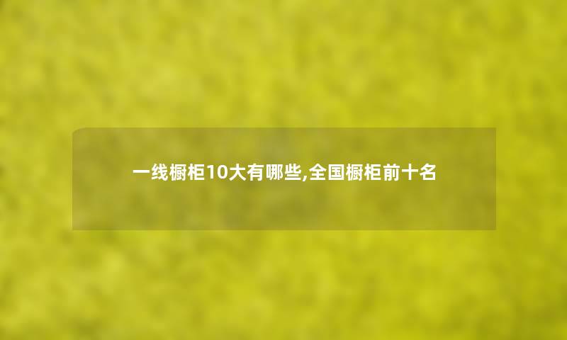 一线橱柜10大有哪些,全国橱柜前十名