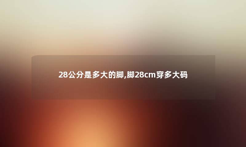 28公分是多大的脚,脚28cm穿多大码