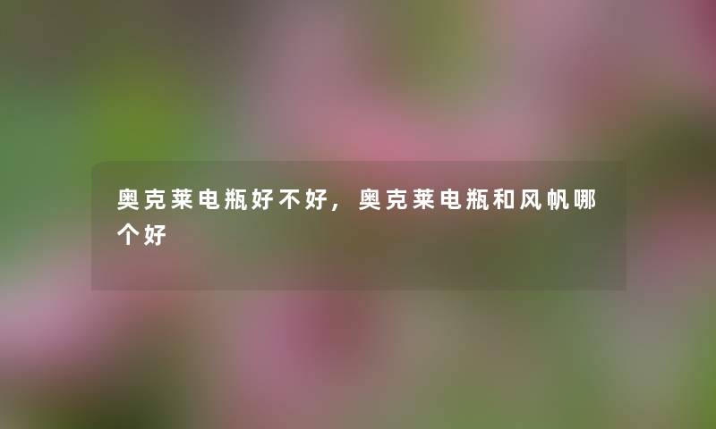 奥克莱电瓶好不好,奥克莱电瓶和风帆哪个好
