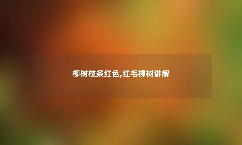 柳树枝条红色,红毛柳树讲解