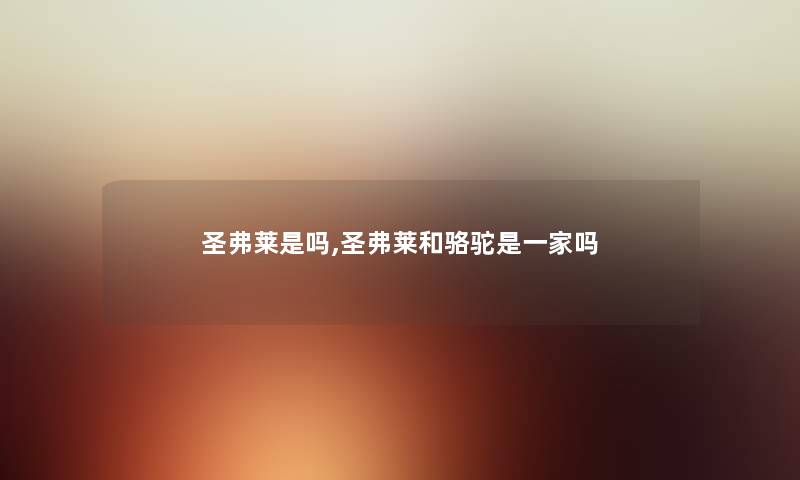 圣弗莱是吗,圣弗莱和骆驼是一家吗