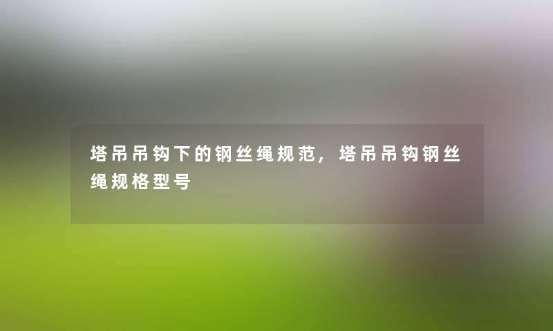塔吊吊钩下的钢丝绳规范,塔吊吊钩钢丝绳规格型号