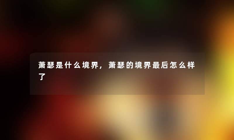 萧瑟是什么境界,萧瑟的境界后怎么样了