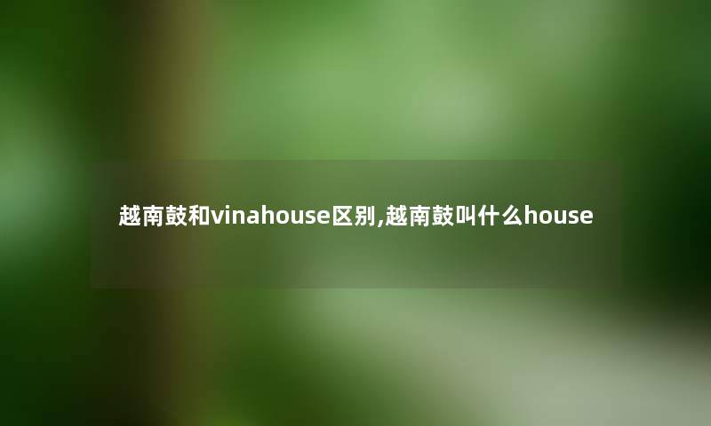 越南鼓和vinahouse区别,越南鼓叫什么house