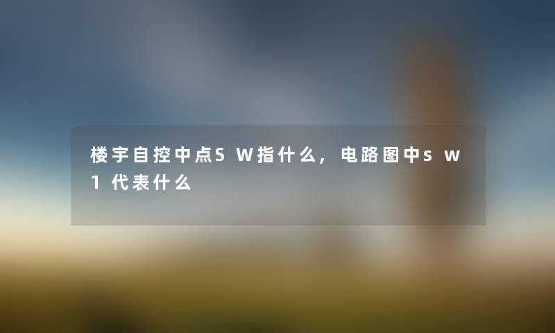 楼宇自控中点SW指什么,电路图中sw1代表什么