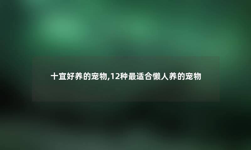 十宜好养的宠物,12种适合懒人养的宠物