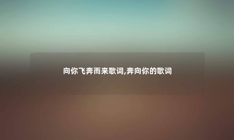 向你飞奔而来歌词,奔向你的歌词