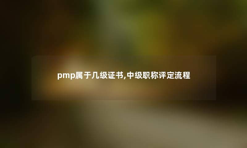 pmp属于几级证书,中级职称评定流程