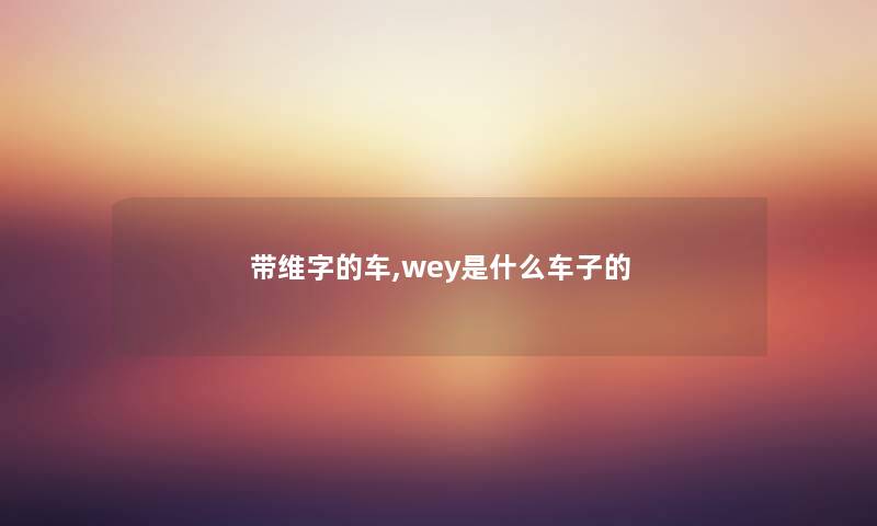 带维字的车,wey是什么车子的
