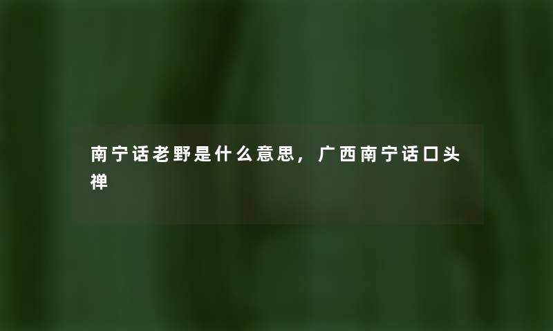 南宁话老野是什么意思,广西南宁话口头禅