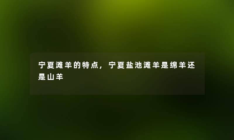 宁夏滩羊的特点,宁夏盐池滩羊是绵羊还是山羊 宁夏滩羊的特点,宁夏盐池滩羊是绵羊还是山羊