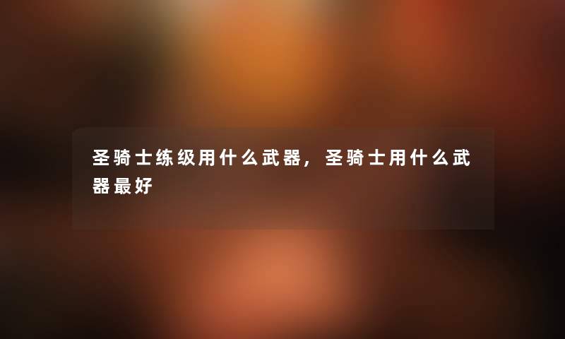 圣骑士练级用什么武器,圣骑士用什么武器好