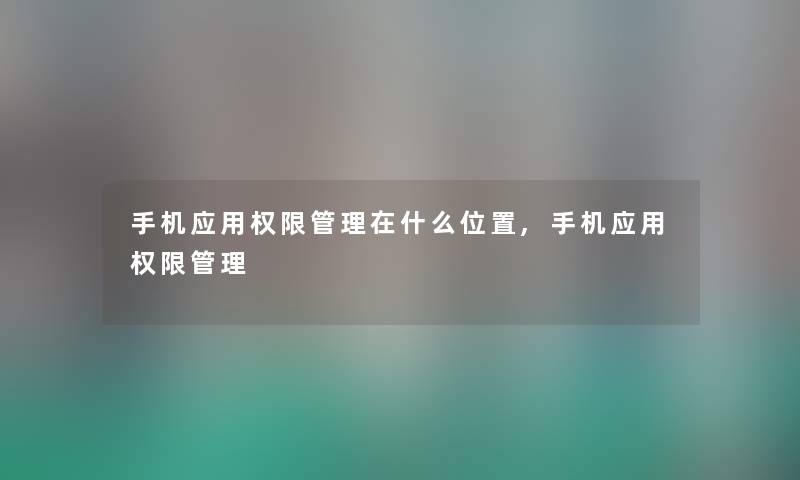 手机应用权限管理在什么位置,手机应用权限管理
