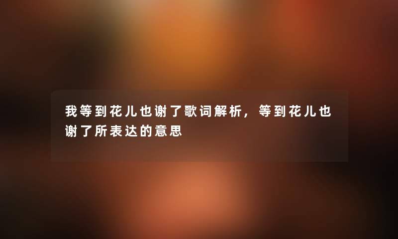 我等到花儿也谢了歌词解析,等到花儿也谢了所表达的意思