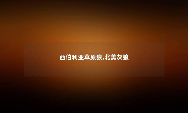 西伯利亚草原狼,北美灰狼