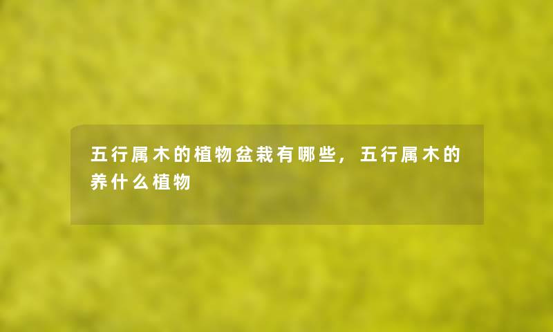 五行属木的植物盆栽有哪些,五行属木的养什么植物