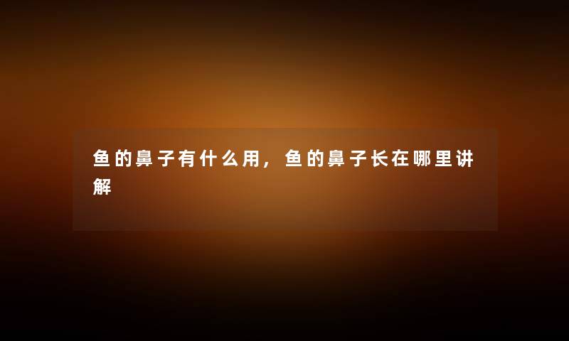 鱼的鼻子有什么用,鱼的鼻子长在哪里讲解