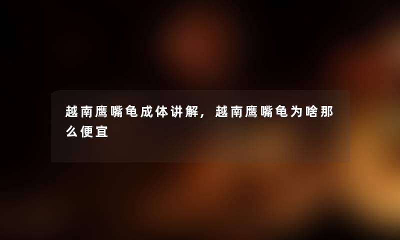 越南鹰嘴龟成体讲解,越南鹰嘴龟为啥便宜