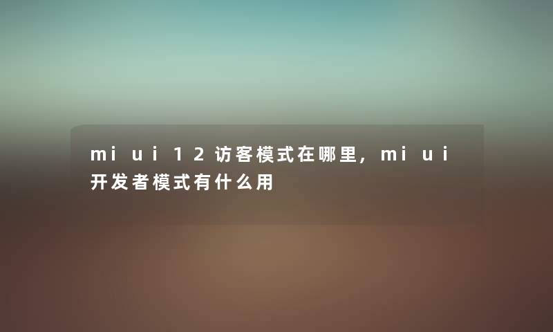 miui12访客模式在哪里,miui开发者模式有什么用