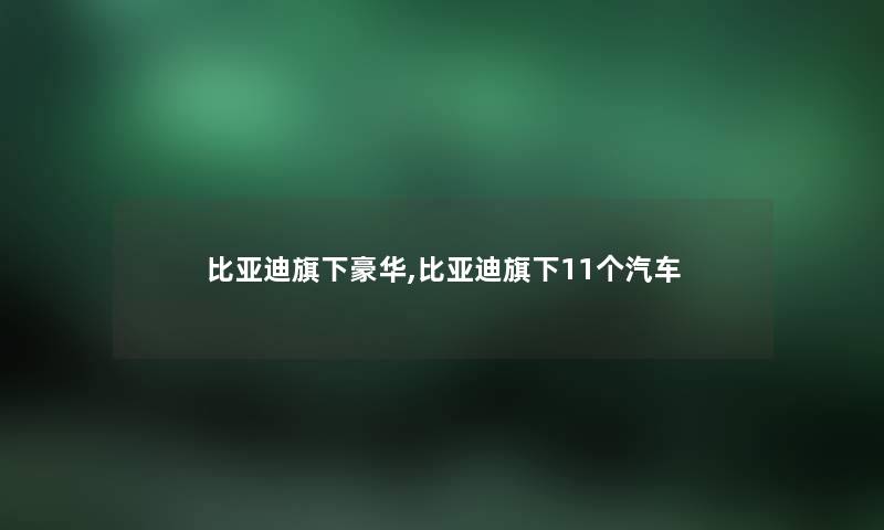 比亚迪旗下豪华,比亚迪旗下11个汽车