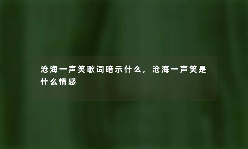 沧海一声笑歌词暗示什么,沧海一声笑是什么情感