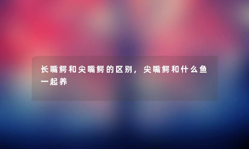 长嘴鳄和尖嘴鳄的区别,尖嘴鳄和什么鱼一起养