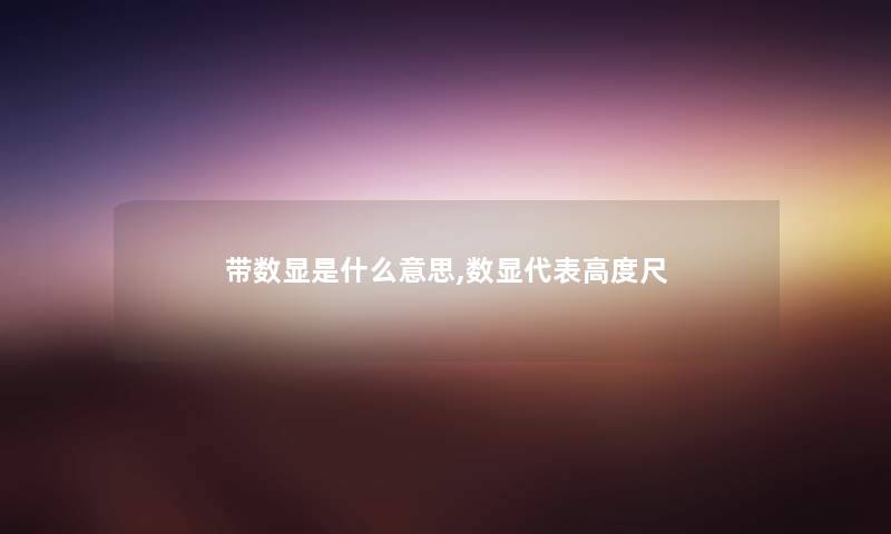 带数显是什么意思,数显代表高度尺