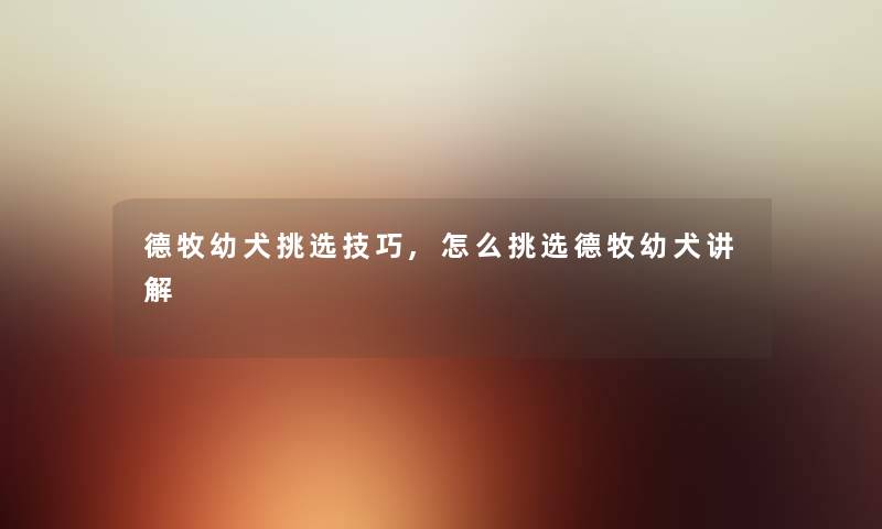 德牧幼犬挑选技巧,怎么挑选德牧幼犬讲解
