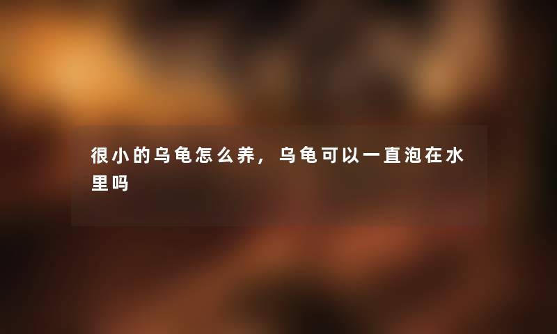 很小的乌龟怎么养,乌龟可以一直泡在水里吗