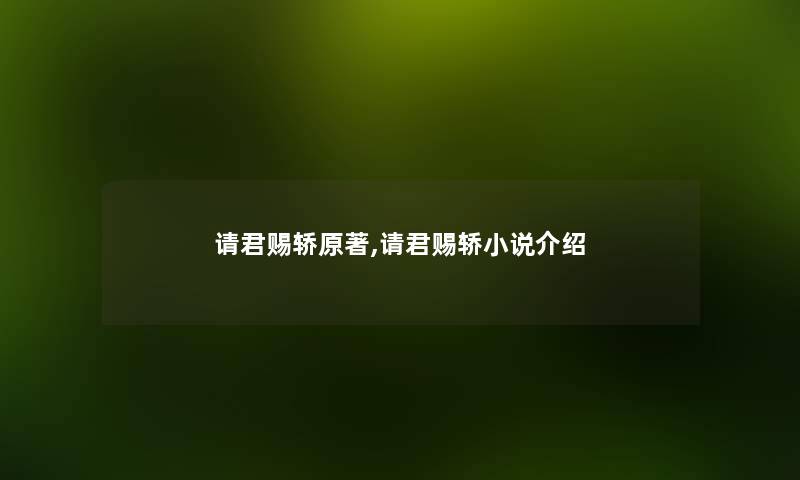 请君赐轿原著,请君赐轿小说介绍