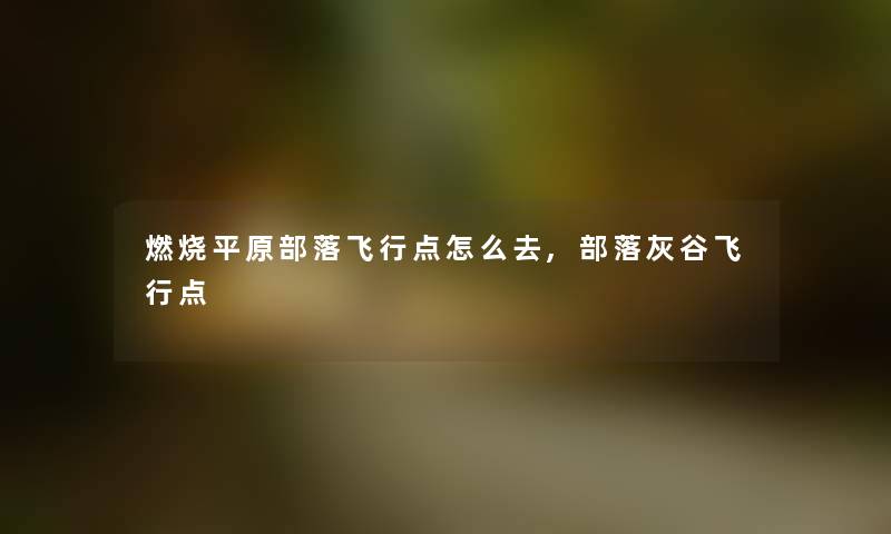 燃烧平原部落飞行点怎么去,部落灰谷飞行点