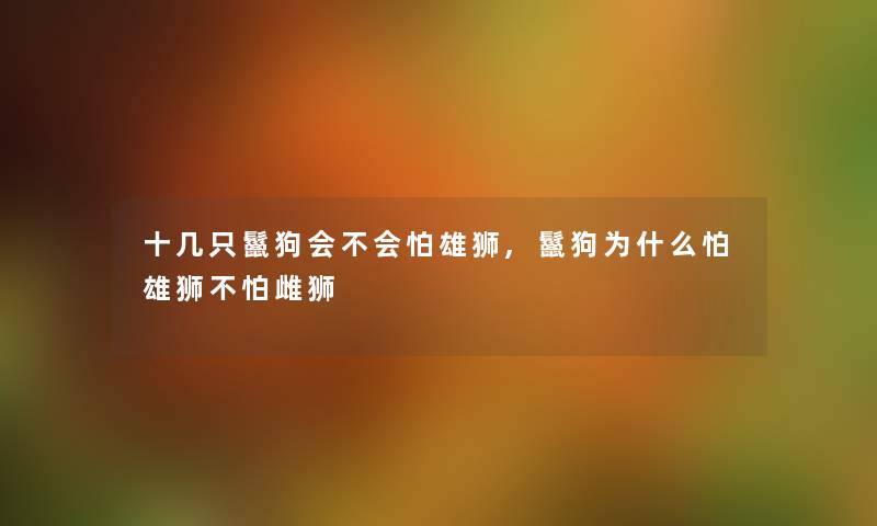 十几只鬣狗会不会怕雄狮,鬣狗为什么怕雄狮不怕雌狮