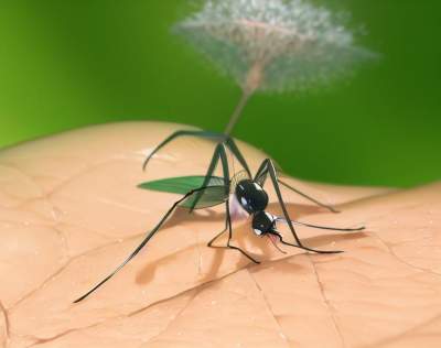 家里防蚊虫方法小妙招